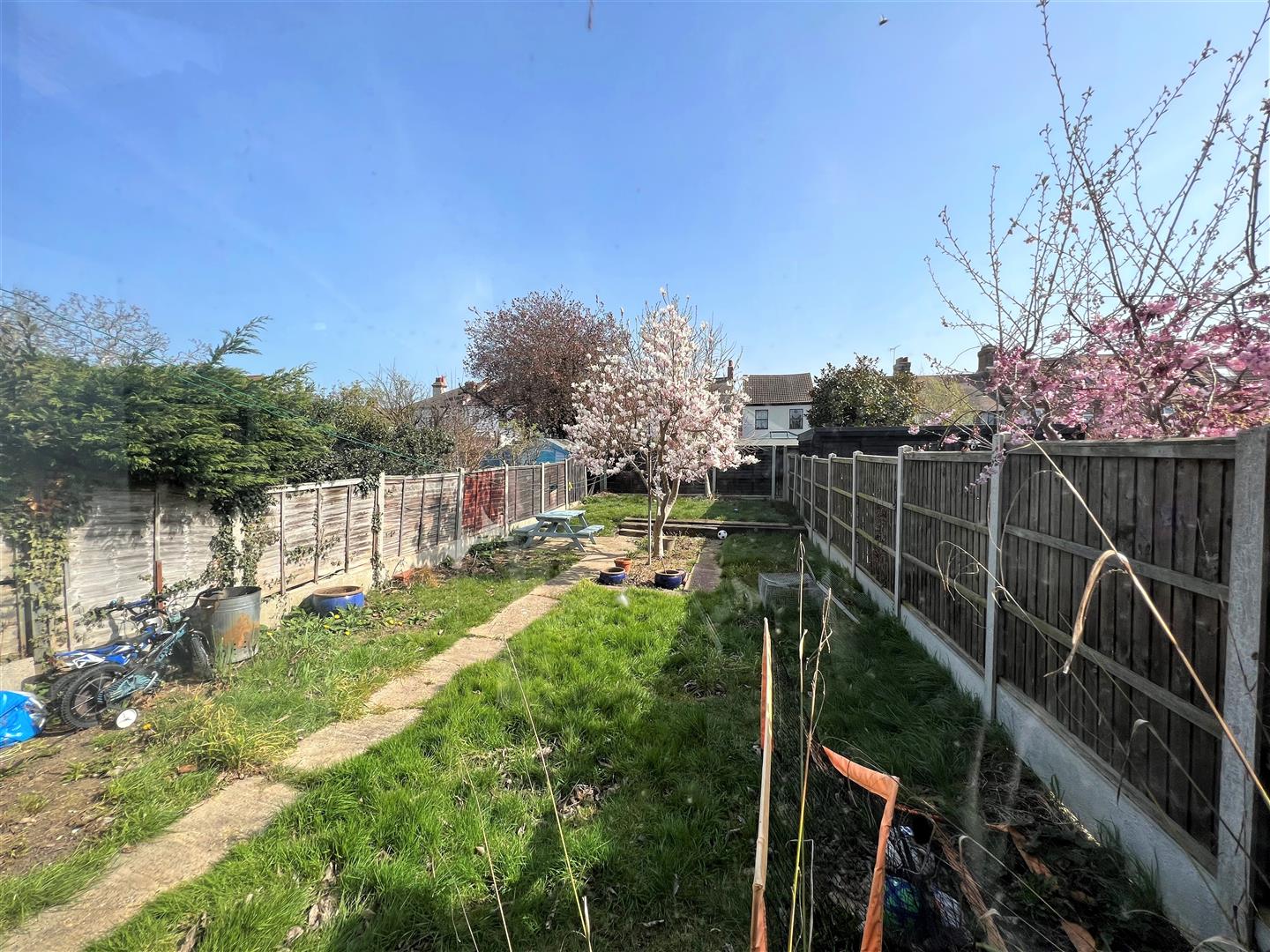 Garden.jpg
